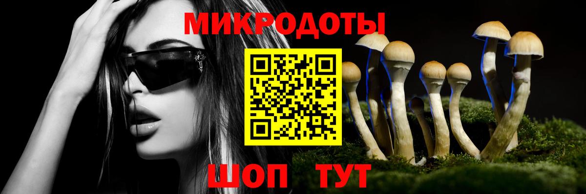 Псилоцибиновые грибы мицелий  Вход с VPN  Красноармейск 
